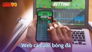 Tìm hiểu web cá cược bóng đá